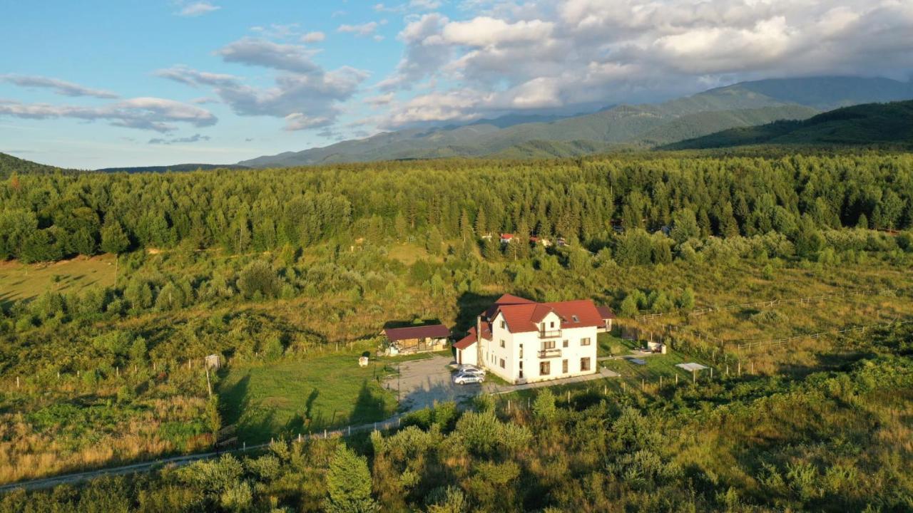 Pensiunea Ivoire Avrig Exteriér fotografie