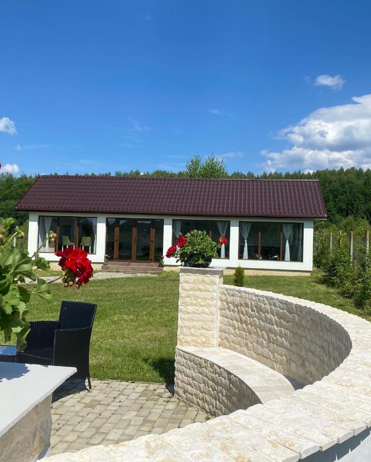 Pensiunea Ivoire Avrig Exteriér fotografie